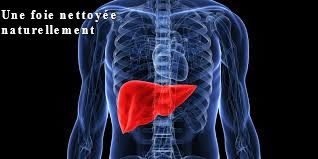 Une foie nettoyée naturellement