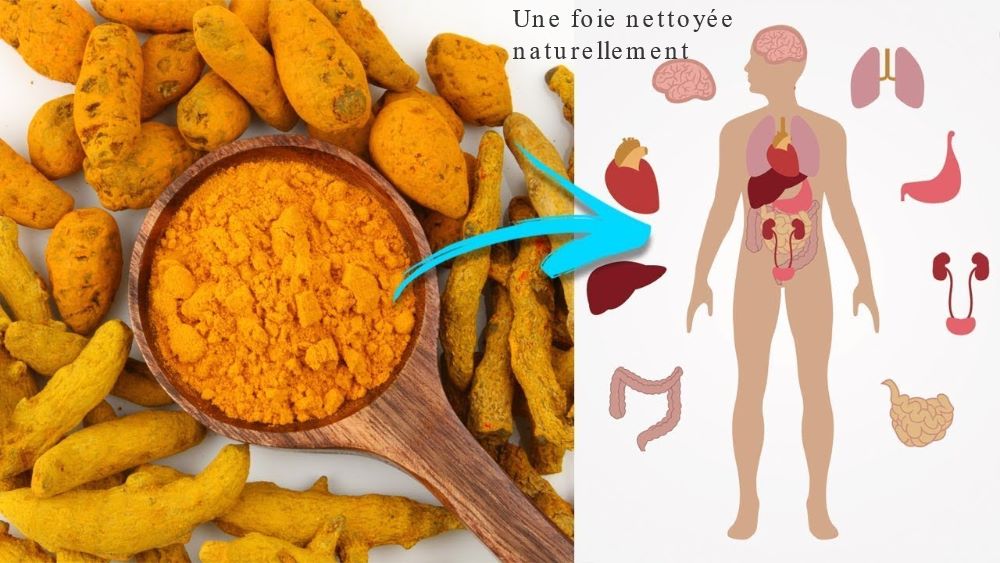 Une foie nettoyée naturellement