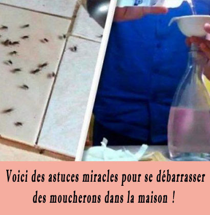 Voici des astuces miracles pour se débarrasser des moucherons dans la maison !