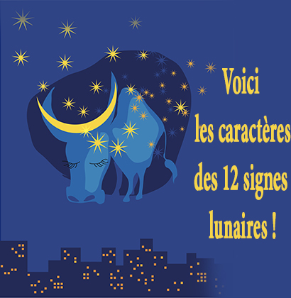 Voici les caractères des 12 signes lunaires !