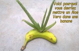 Qui aurait cru que vous puissiez faire ça avec un Aloe Vera et une banane !