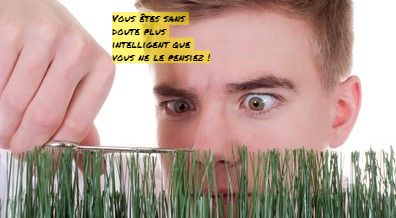 Vous êtes un perfectionniste Vous êtes sans doute plus intelligent que vous ne le pensiez