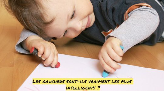 Les gauchers Les gauchers sont-ils vraiment les plus intelligents ?