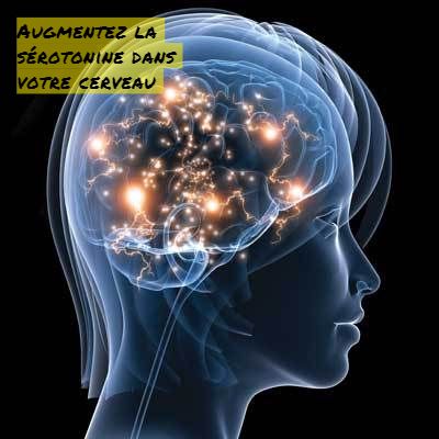 Augmentez la sérotonine dans votre cerveau