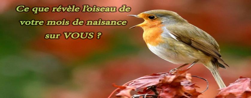 Ce que révèle l’oiseau de votre mois de naissance sur VOUS ?
