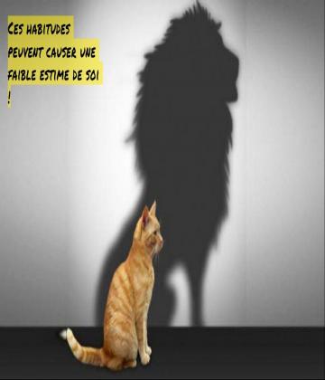 Beaucoup trop de gens souffrent de dépression en raison de leur faible amour-propre et de leur manque d'estime de soi.