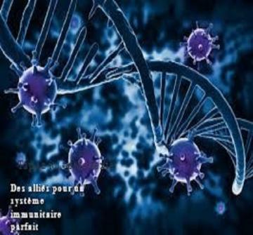 Notre système immunitaire agit comme une armée de défense afin d'assurer une protection pour notre corps contre les attaques virales et bactériennes.