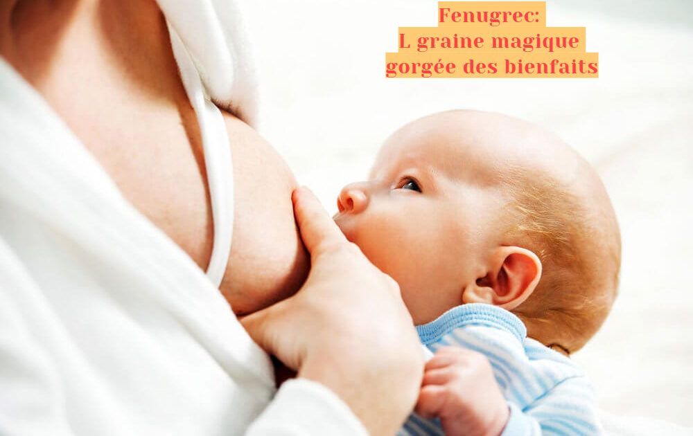 La graine magique Fenugrec: La graine magique gorgée des bienfaits