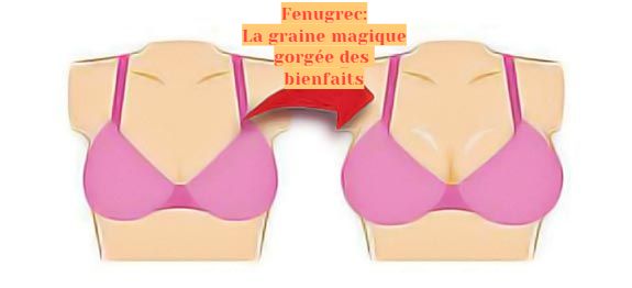 La graine magique Fenugrec: La graine magique gorgée des bienfaits
