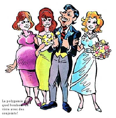 Le phéromone du polygamie La polygamie mais quel bonheur de vivre avec des conjoints!