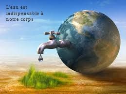 L'eau est indispensable à notre corps L'eau est indispensable à notre corps