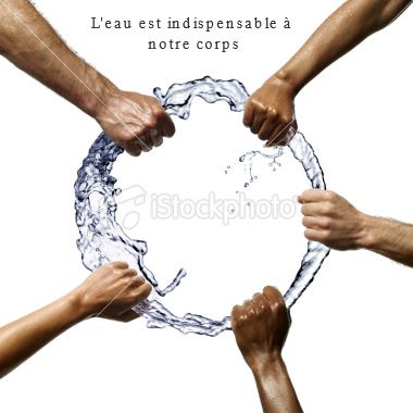 La valeur de l'eau et son importance dans l'organisme humain L'eau est indispensable à notre corps