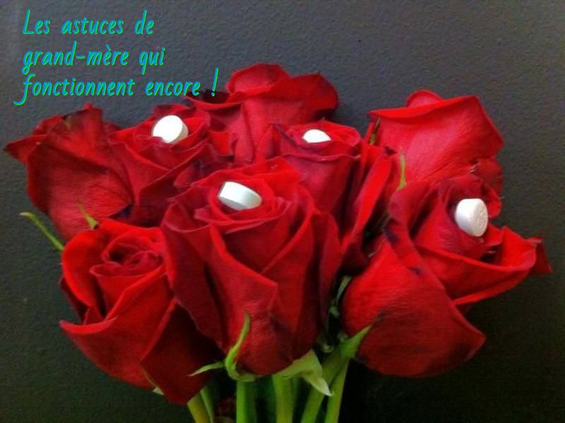 L'aspirine empêche mes roses de faner Les astuces de grand-mère qui fonctionnent encore !