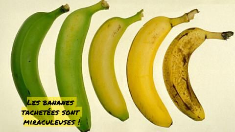 Les bananes tachetées Les bananes tachetées sont miraculeuses
