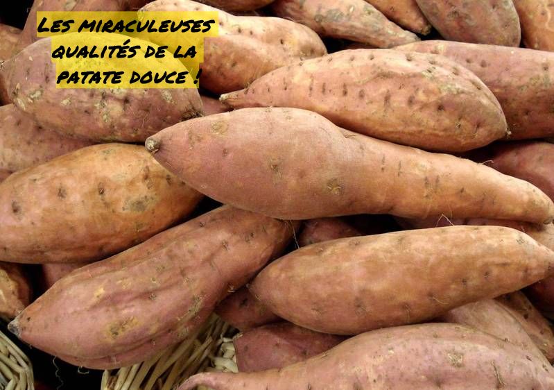 Les miraculeuses qualités de la patate douce Les miraculeuses qualités de la patate douce !