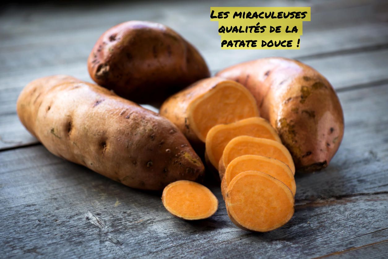 Les miraculeuses qualités de la patate douce Les miraculeuses qualités de la patate douce !