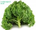 Encore appelé reine des légumes verts, le chou kale est un aliment riche en nutriments.