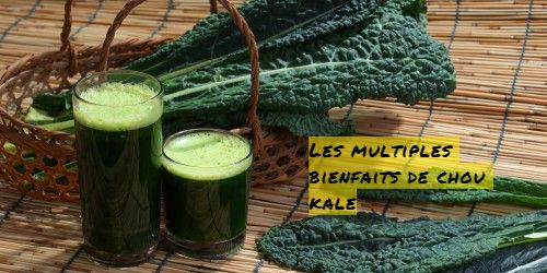 Les multiples bienfaits du Chou Kale Les multiples bienfaits de chou kale
