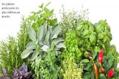 Se soigner avec des plantes médicinales c'est un mode de vie,des plantes qui aident à rétablir les déséquilibres.