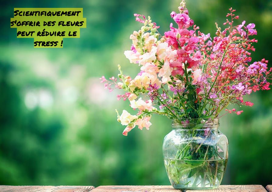 S'offrir des fleurs peut réduire le stress Scientifiquement s'offrir des fleurs peut réduire le stress