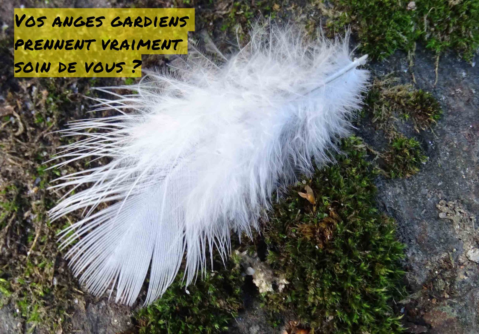 Vos anges gardiens prennent vraiment soin de vous?