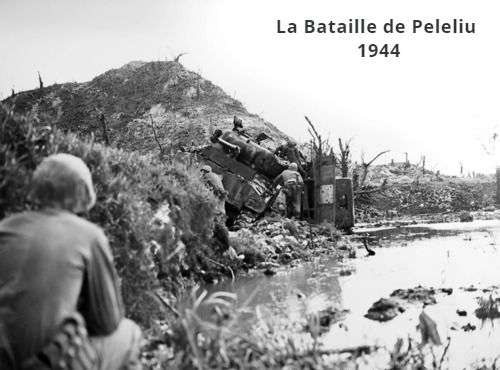 La Bataille de Peleliu,1944 ce-qui-s-est-passe-ce-jour-15-septembre !