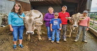 Tuée par une vache le jour de son mariage