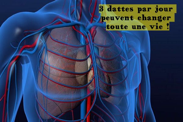 3 dattes par jour peuvent changer toute une vie !