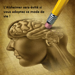 L'Alzheimer la maladie de nos jours L’Alzheimer sera évité si vous adaptez ce mode de vie !