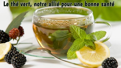 Le thé vert, notre allié pour une bonne santé !