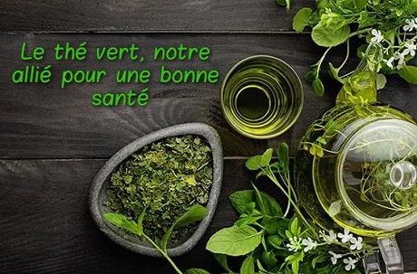 Le thé vert, notre allié pour une bonne santé !