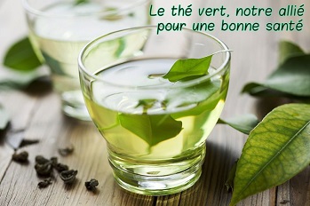 Le thé vert, notre allié pour une bonne santé !