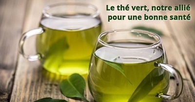 Le thé vert, notre allié pour une bonne santé !