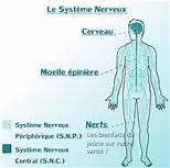 Les bienfaits du jeune Les bienfaits du jeûne sur notre santé ?