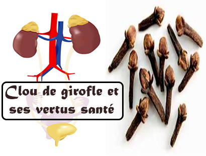 Clou de girofle et ses vertus santé