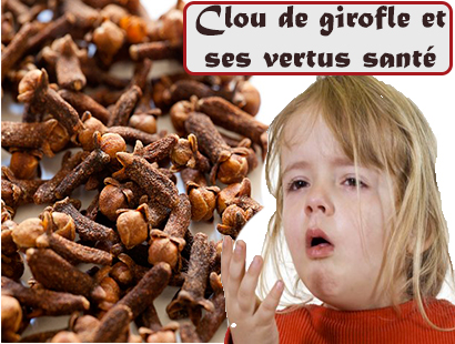 Clou de girofle et ses vertus santé