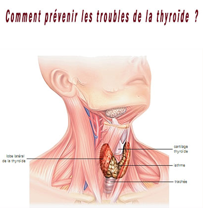 Comment prévenir les troubles de la thyroïde ?