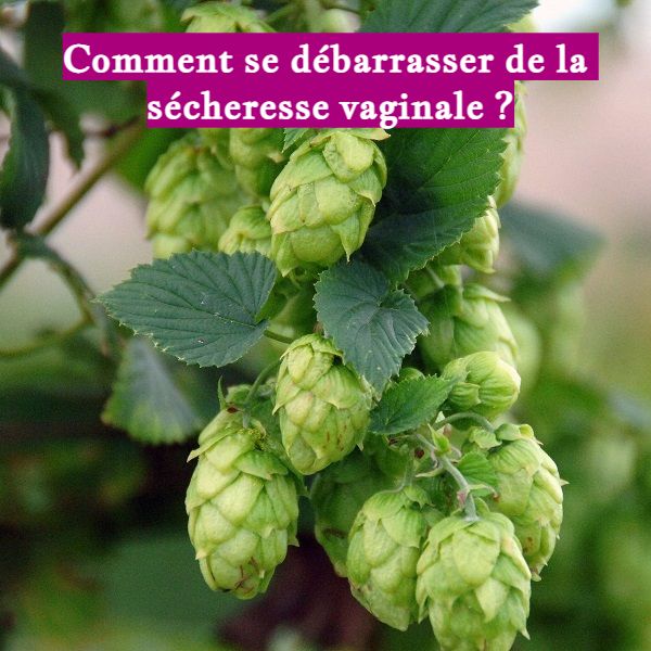 Comment se débarrasser de la sécheresse vaginale ?
