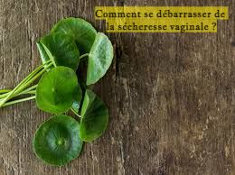 Comment se débarrasser de la sécheresse vaginale ?