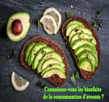 Ce fruit est utilisé dans l’alimentation humaine depuis plus de 10 000 ans car il était déjà consommé par les Aztèques et les Mayas.