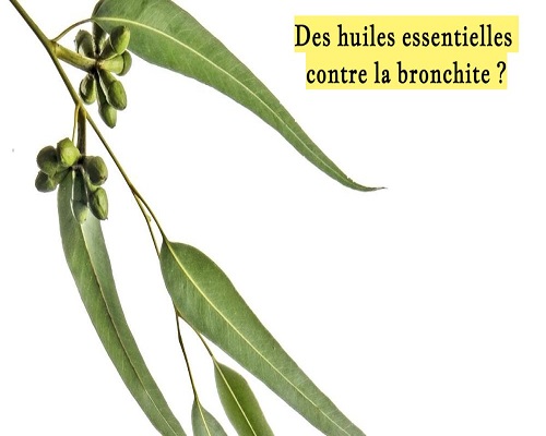 Des huiles essentielles contre la bronchite ?