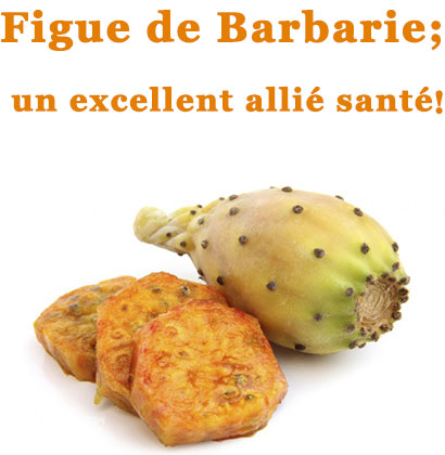 Figue de Barbarie; un excellent allié santé !
