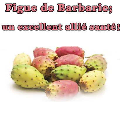 Figue de Barbarie; un excellent allié santé !