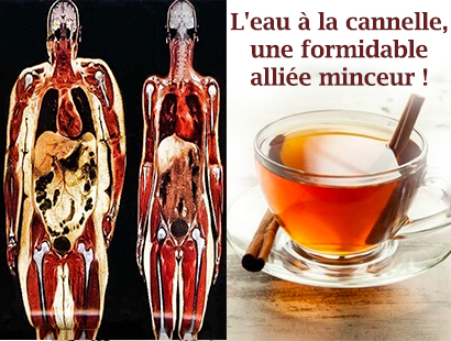 L'eau à la cannelle, une formidable alliée minceur !