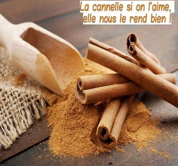 La cannelle, une épice riche en goût et en bienfaits !