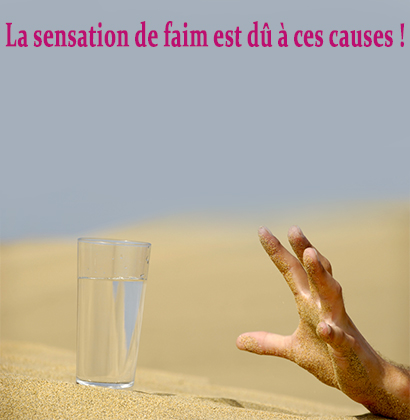 La sensation de faim est dû à ces causes ! La sensation de faim est dû à ces causes !