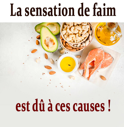 La sensation de faim est dû à ces causes ! La sensation de faim est dû à ces causes !