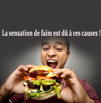La sensation de faim est dû à ces causes ! La sensation de faim est dû à ces causes !