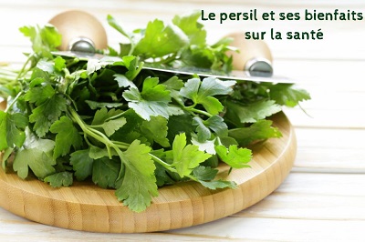 Le persil et ses bienfaits sur la santé 