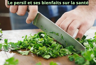 Le persil et ses bienfaits sur la santé 